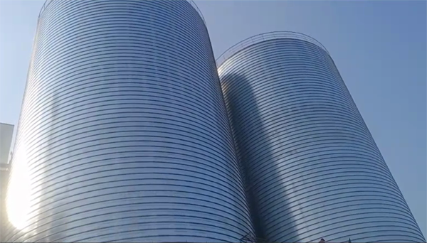 岐山2座混凝土高架卷板仓